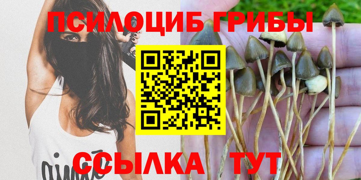 Верхний Уфалей  Галлюциногенные грибы мухоморы  Вход с VPN 