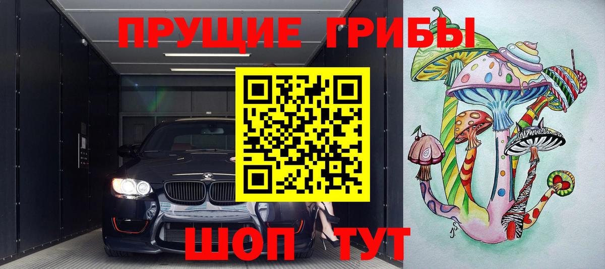 Галлюциногенные грибы Psilocybe Верхний Уфалей